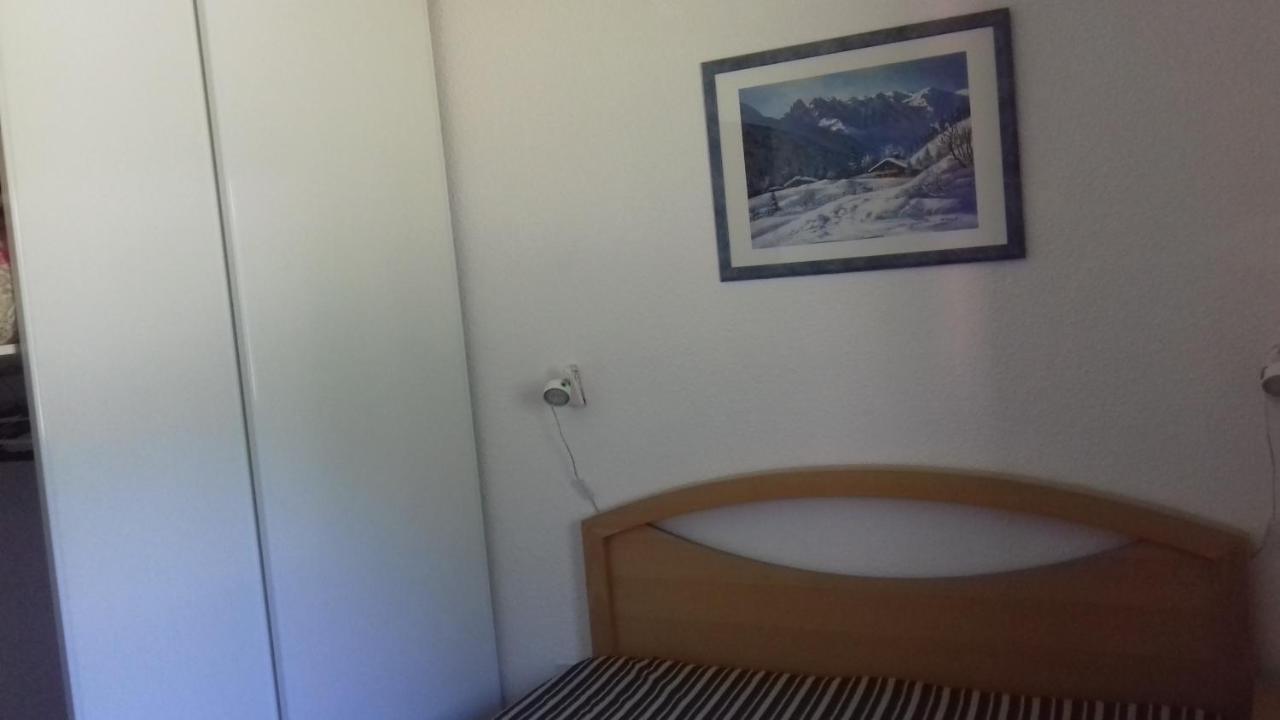 Appartement 24 Les Chalets Du Jardin Alpin La Salle-les-Alpes Eksteriør bilde
